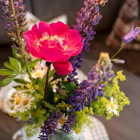 Planai - Lejlighed Schladming