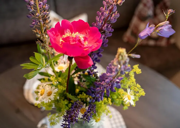 Planai - Apartment Schladming